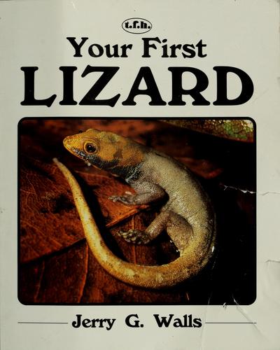 Your First Lizard