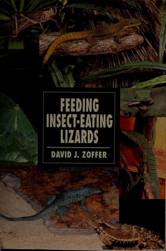 Feeding Insect-Eating Lizards