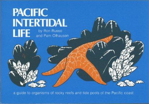 Pacific Intertidal Life