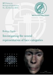 Investigating the neural representation of face categories