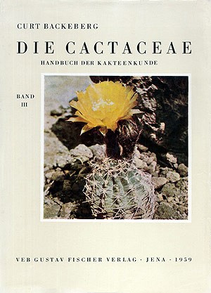 Die Cactaceae