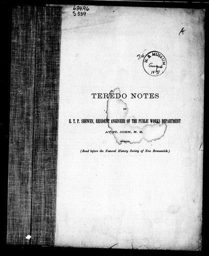 Teredo notes