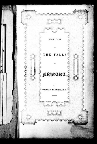 Four days at the falls of Niagara