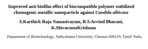 Improved Anti Biofilm Effect of Biocompatible Polymer Stabilized Chemogenic Metallic Nanoparticle Against Candida Albicans