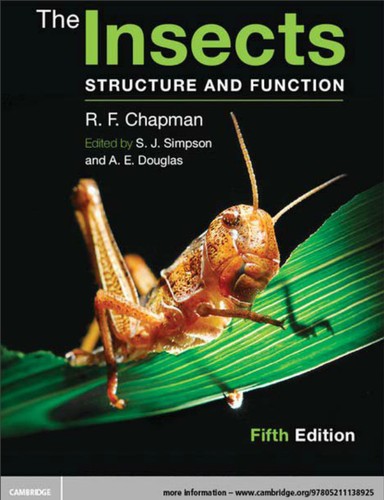 The insects