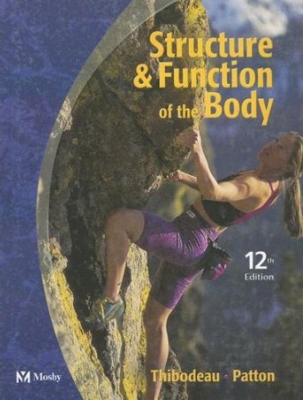 Structure & Function of the Body