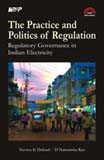The Practice and Politics of Regulation