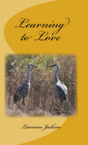 Learning to Love