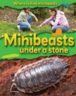 Minibeasts Under a Stone