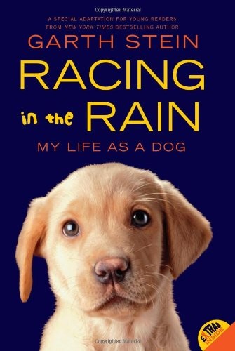 Racing in the rain