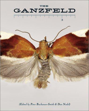 The Ganzfeld #3