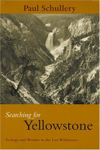 Searching for Yellowstone