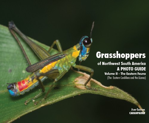 Grasshoppers of Northwest South America, A Photo Guide, Vol. 2 - The Eastern Fauna