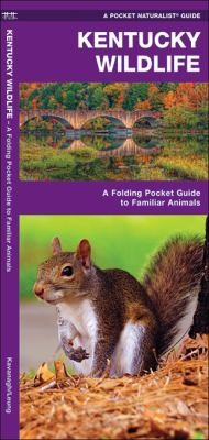 Kentucky Wildlife: An Introduction To Familiar Species