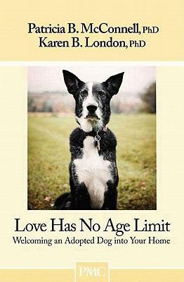 Love Has No Age Limit: Welcoming An Adopted Dog Into Your Home