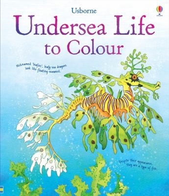 Undersea Life of Colour