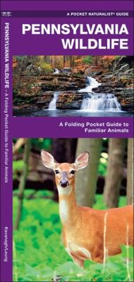 Pennsylvania Wildlife: An Introduction To Familiar Species