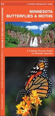 Minnesota Butterflies and Moths