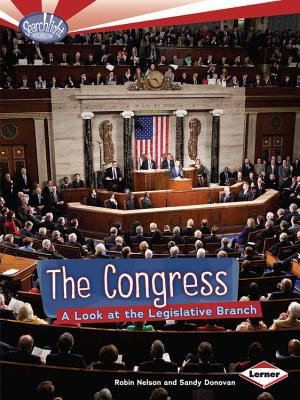 The Congress: A Look At The Legislative Branch