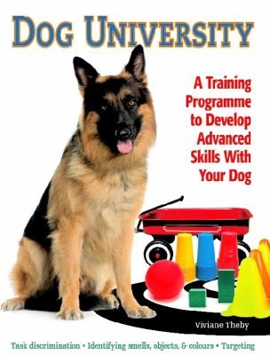 Dog University: A Training Programme To Help Develop Advanced Skills With Your Dog
