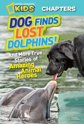 Dog Finds Lost Dolphins And More True Stories Of Amazing Animal Heroes