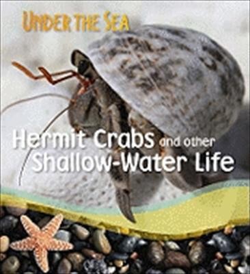 Hermit Crabs And Other Shallowwater Life