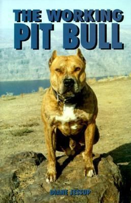 The Working Pit Bull
