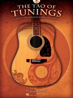 The Tao of Tunings: A Map to the World of Alternate Tunings