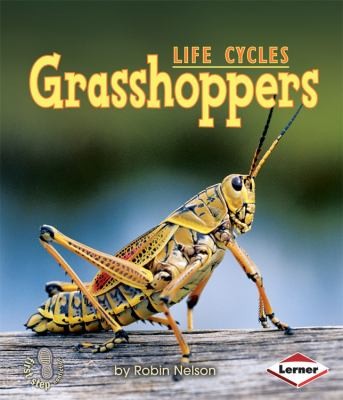 Grasshoppers