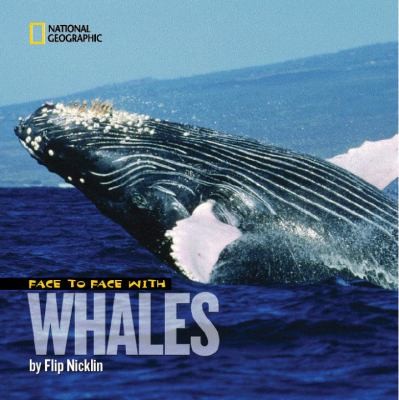 Face To Face With Whales
