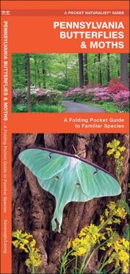 Pennsylvania Butterflies and Moths: An Introduction to Familiar Species