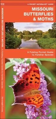 Missouri Butterflies and Moths