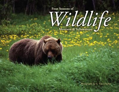 Four Seasons of Wildlife: Montana and Yellowstone