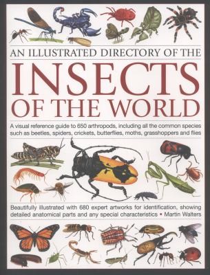 An Illustrated Directory Of The Insects Of The World A Visual Reference Guide To 650 Arthropods Including All The Common Species Such As Beetles Spiders Crickets Butterflies Moths Grasshoppers And Flies