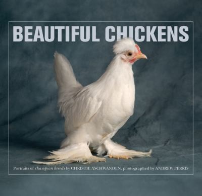 Beautiful Chickens Portraits Of Champion Breeds