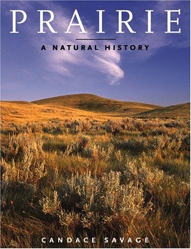 Prairie