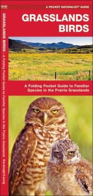 Grasslands Birds: An Introduction To Familiar Species Found In Prairie Grasslands