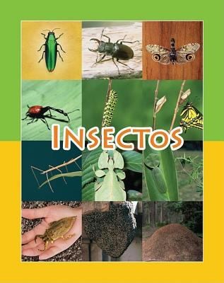 Insectos
            
                Coleccion Facil de Leer Easy Readers K2