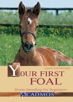 Your First Foal: Horse Breeding For Beginners