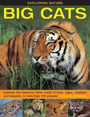 Exploring Nature Big Cats