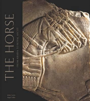 Horses in the Middle East and Beyond