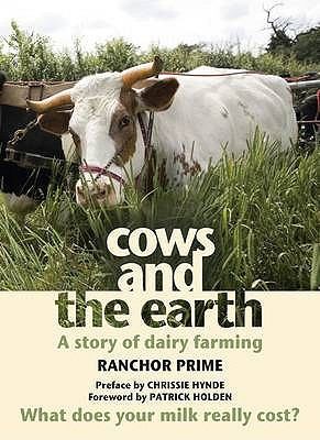 Cows and the Earth