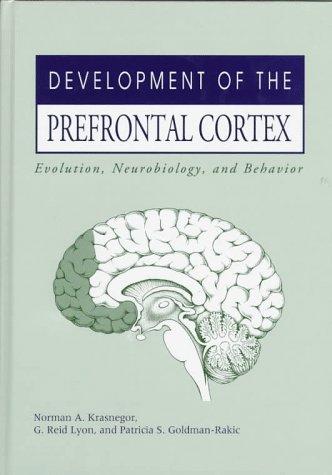 Development of the Prefrontal Cortex
