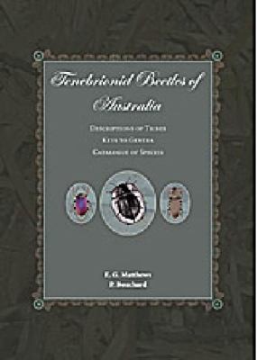 Tenebrionid Beetles of Australia