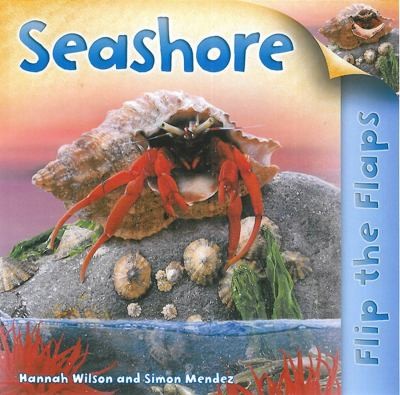 Seashore
            
                Flip the Flaps