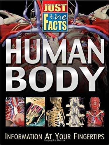Just The Facts Human Body