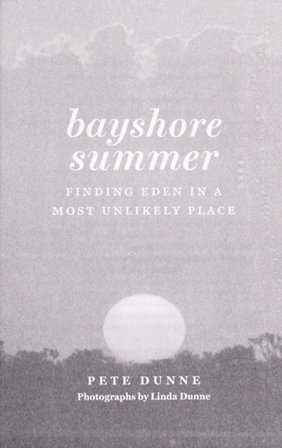 Bayshore summer