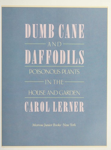 Dumb cane and daffodils