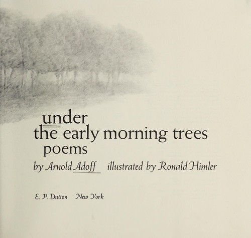 Under the early morning trees