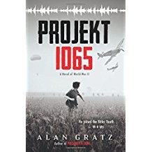 Projekt 1065